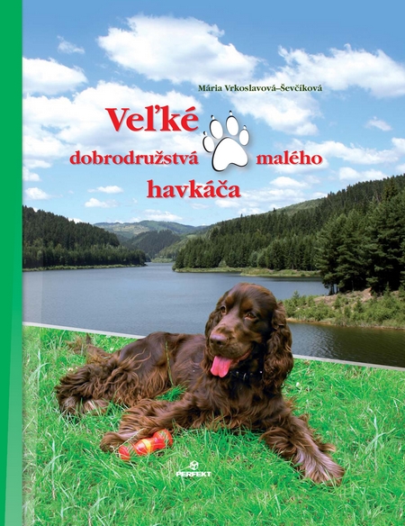 E-kniha Veľké dobrodružstvá malého havkáča