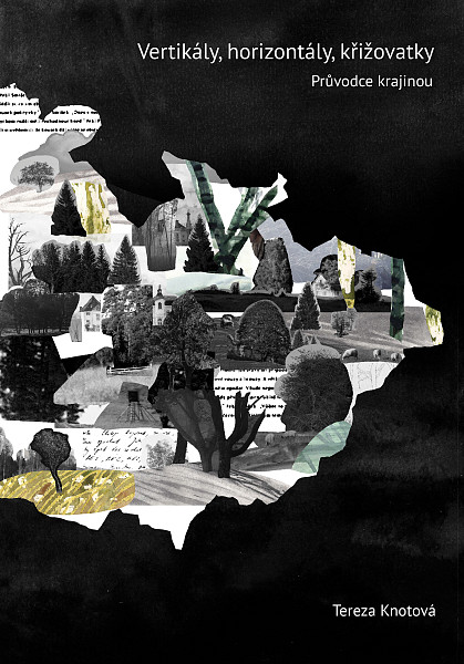 E-kniha Vertikály, horizontály, křižovatky
