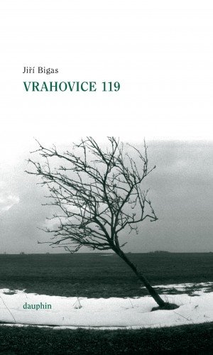 E-kniha Vrahovice 119