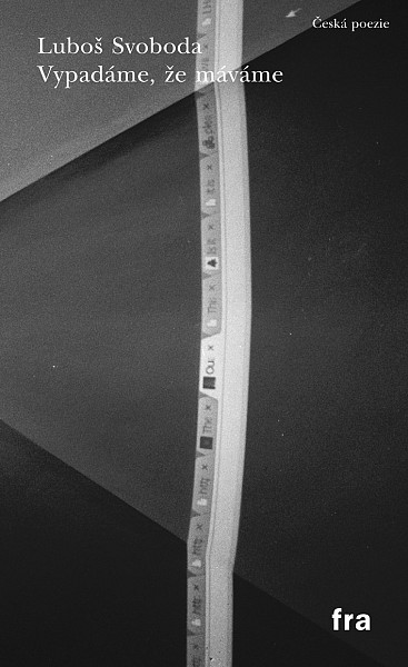 E-kniha Vypadáme, že máváme