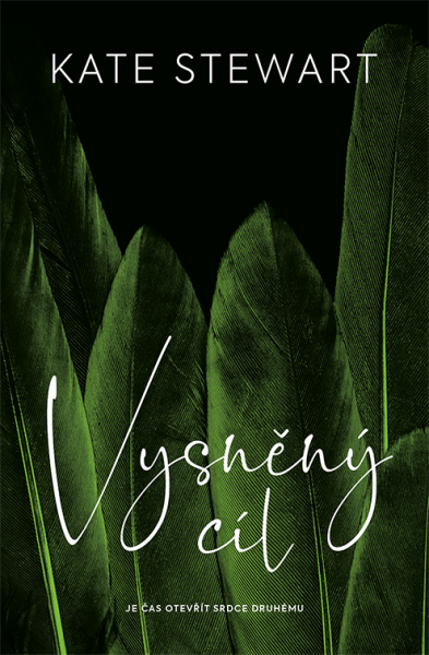 E-kniha Vysněný cíl