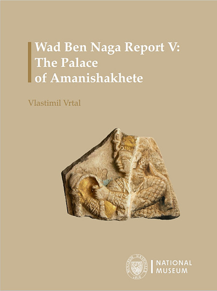 E-kniha Wad Ben Naga Report V.