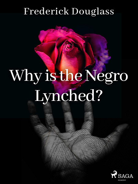 E-kniha Why is the Negro Lynched?
