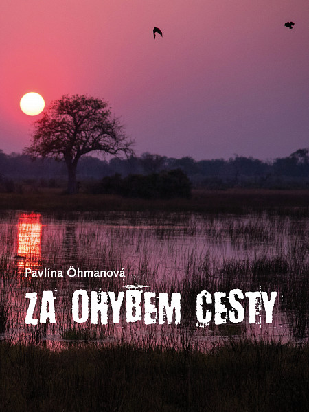 E-kniha Za ohybem cesty
