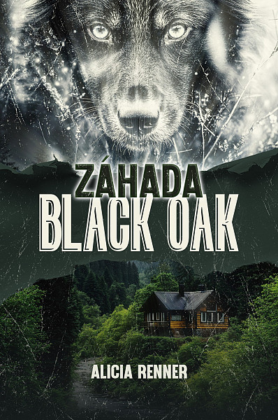 E-kniha Záhada Black Oak