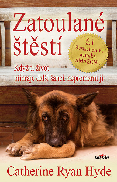 E-kniha Zatoulané štěstí