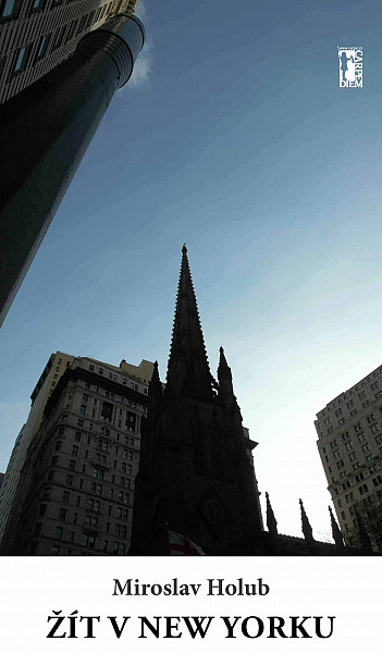 E-kniha Žít v New Yorku