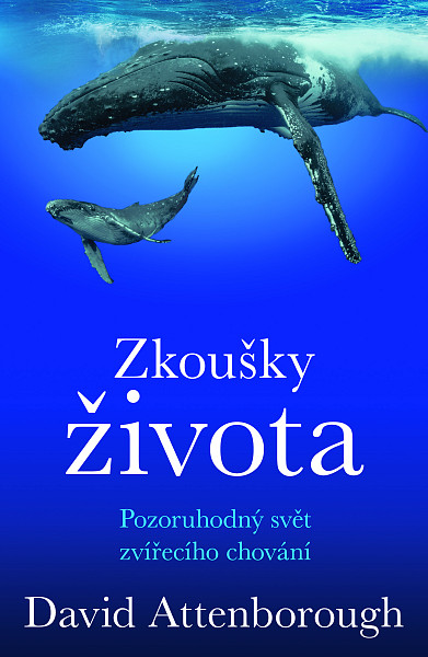 E-kniha Zkoušky života