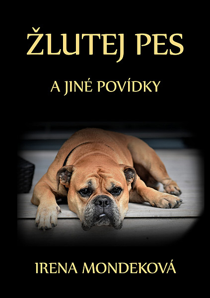 E-kniha Žlutej pes