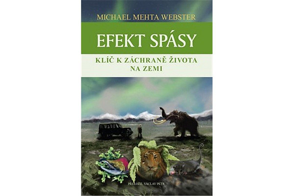 Efekt spásy