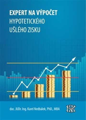 Expert na ušlý zisk, hypotetický zisk a újmu