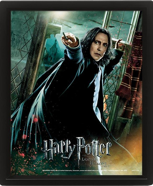Harry Potter Obraz 3D - Snape