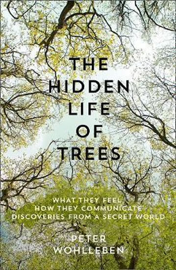 Hidden Life of Trees