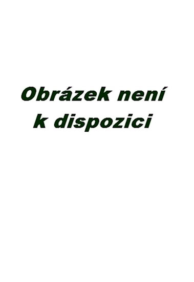 Hlazení duše (v anglickém jazyce)