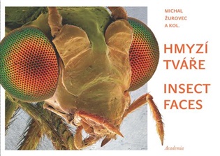 Hmyzí tváře. Insect faces