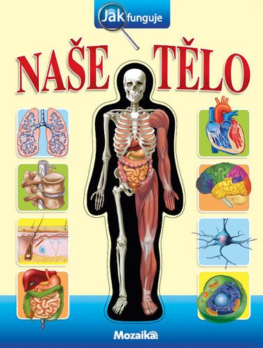 Jak funguje naše tělo?