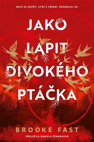 Jako lapit divokého ptáčka