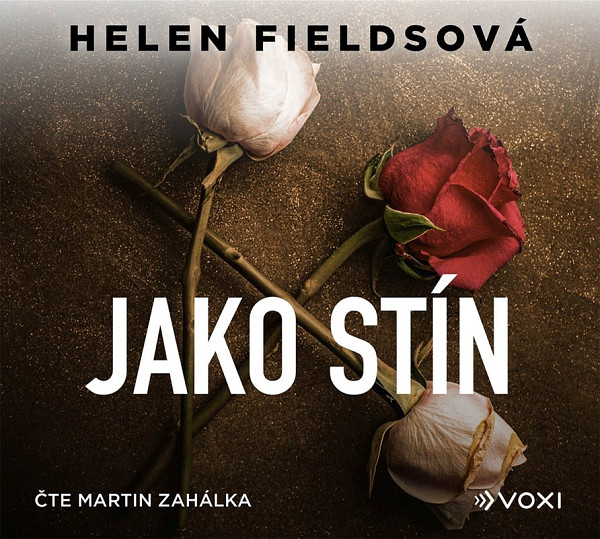 Jako stín (audiokniha)