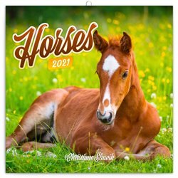 Kalendář 2021 poznámkový: Koně – Christiane Slawik, 30 x 30 cm