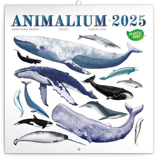 NOTIQUE Poznámkový kalendář Animalium 2025, 30 x 30 cm