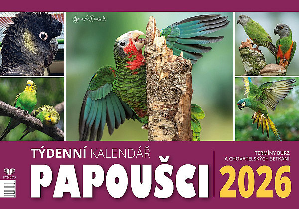 Kalendář 2026 Papoušci - stolní, týdenní