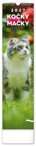Kalendář 2027 nástěnný: Kočky, 12 x 48 cm