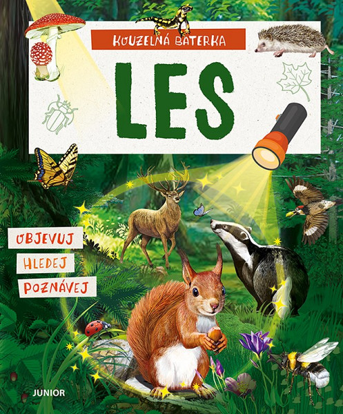 Kouzelná baterka: Les