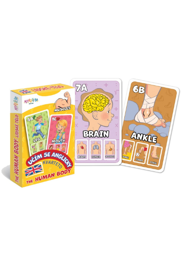 Kvarteto Učím se anglicky  - The Human Body