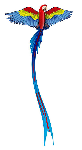 Létající Drak Pop Up 3D - Papoušek