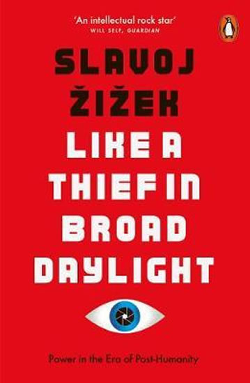 Like A Thief In Broad Daylight: Power in the Era of Post-Human Capitalism