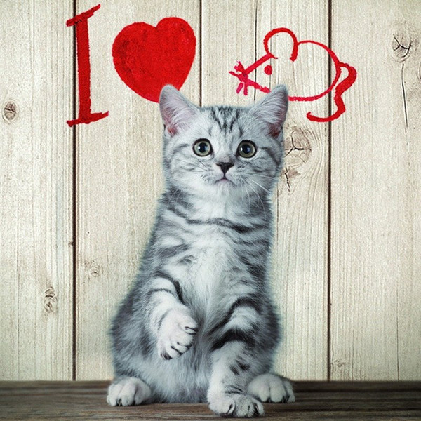 Magnet 3D Miluji myši