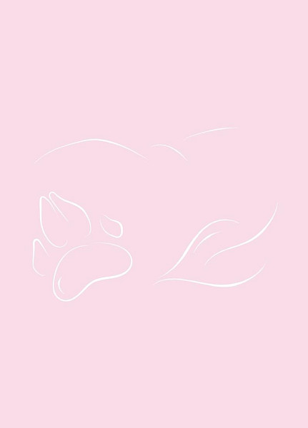 Meditační deníček