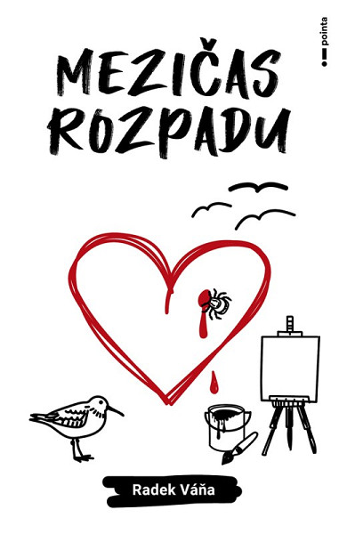 Mezičas rozpadu
