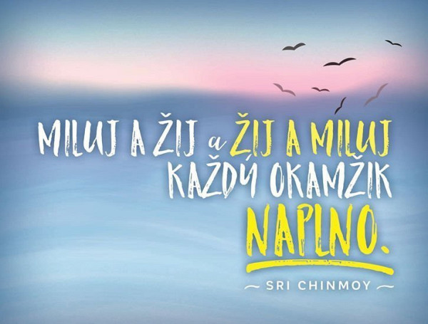 Plechová cedulka - Miluj a žij a žij a miluj každý okamžik naplno