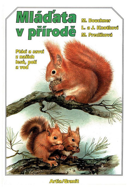 Mláďata v přírodě