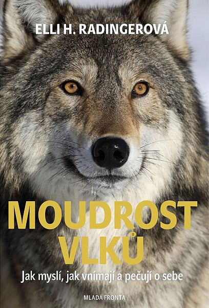 Moudrost vlků