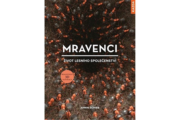 Mravenci - život lesního společenství