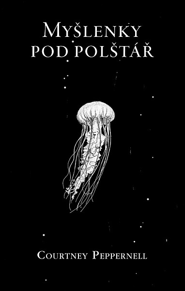 Myšlenky pod polštář