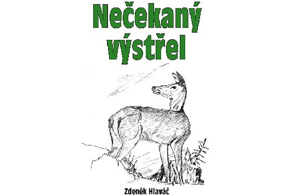 Nečekaný výstřel