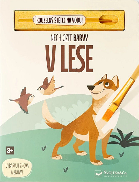 Nech ožít barvy V lese