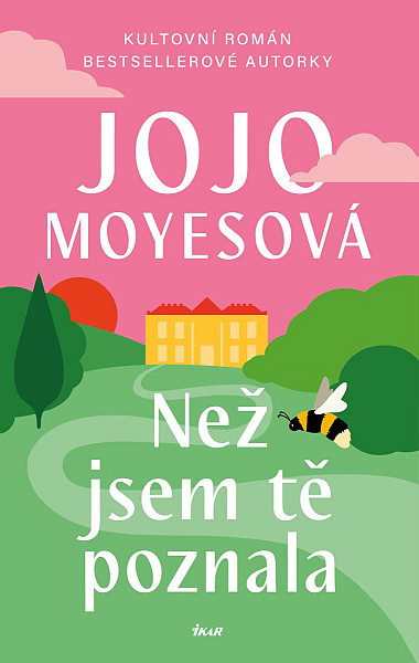 Než jsem tě poznala