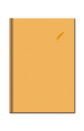 Notes Elegant/zlatý