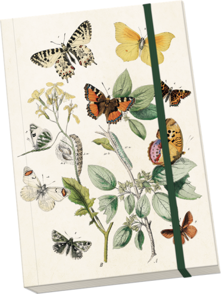 Notýsek Butterflies