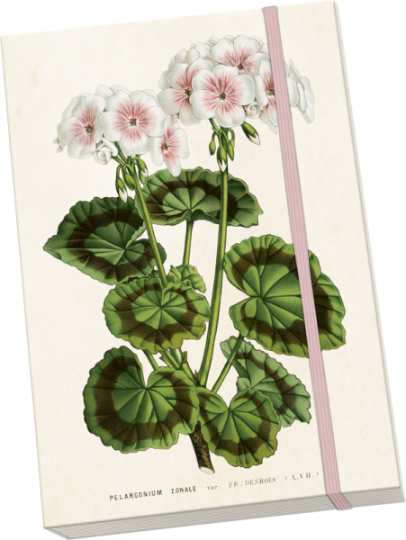 Notýsek Geranium - white