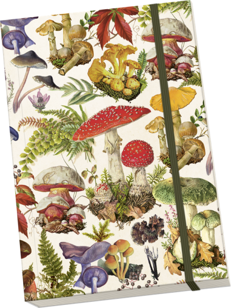 Notýsek Mushroom Forest