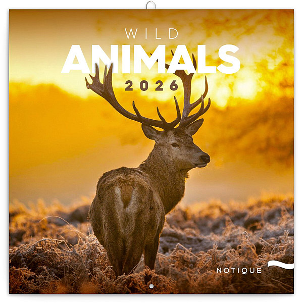 Kalendář 2026 poznámkový: Divoká zvířata 30 x 30 cm