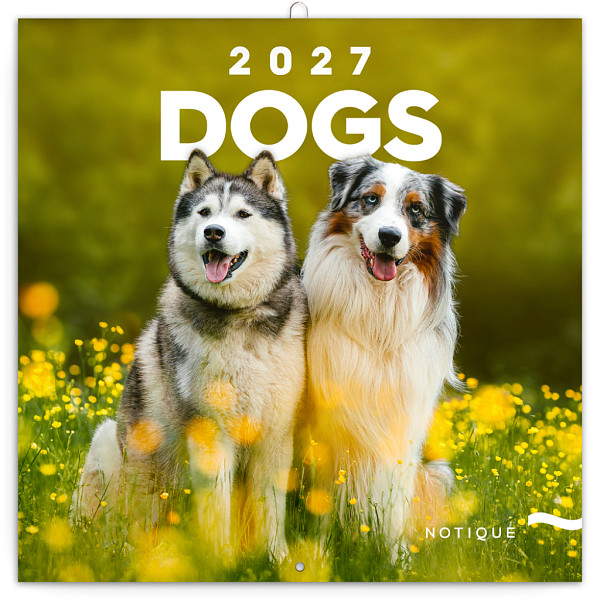 Kalendář 2027 poznámkový: Psi 2027, 30 x 30 cm