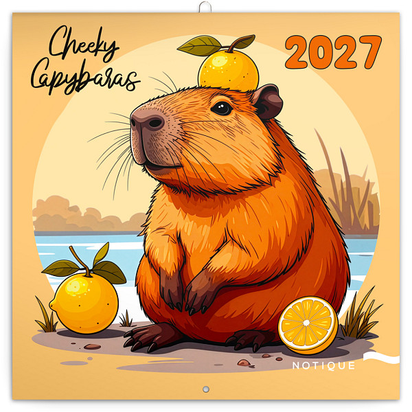 NOTIQUE Poznámkový kalendář Rozverné kapybary 2027, 30 x 30 cm