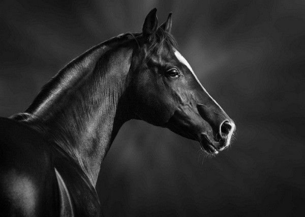 Pohlednice 3D Černá a bílá