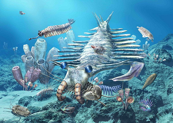 Pohlednice 3D Kambrium